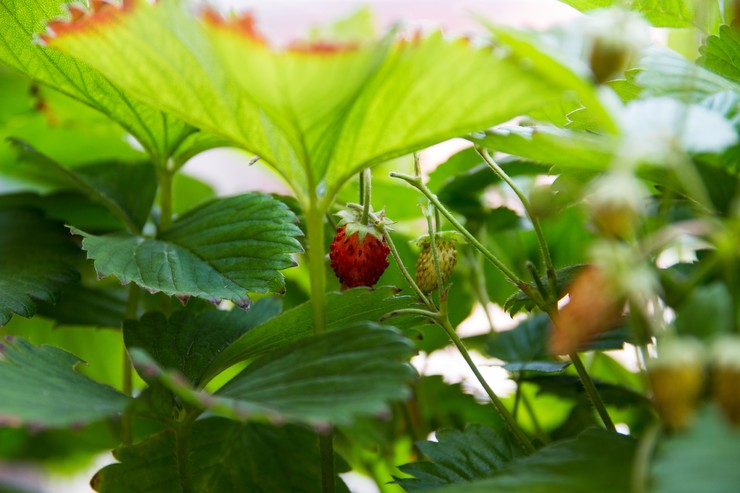 ♥ Sommerpause ♥ ♥ Sommerpause ♥